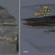 X-ray imaging revealed the tube-like structures embedded within the sedimentary rock.
